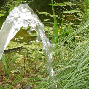 Brunnenwasser spart Geld